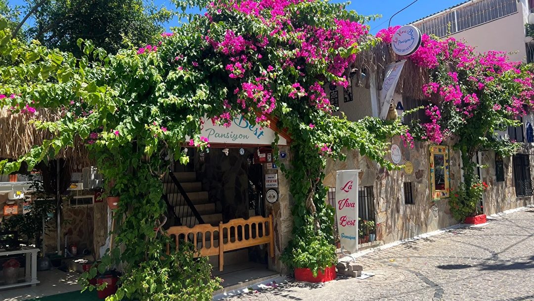 La Viva Best Pansiyon